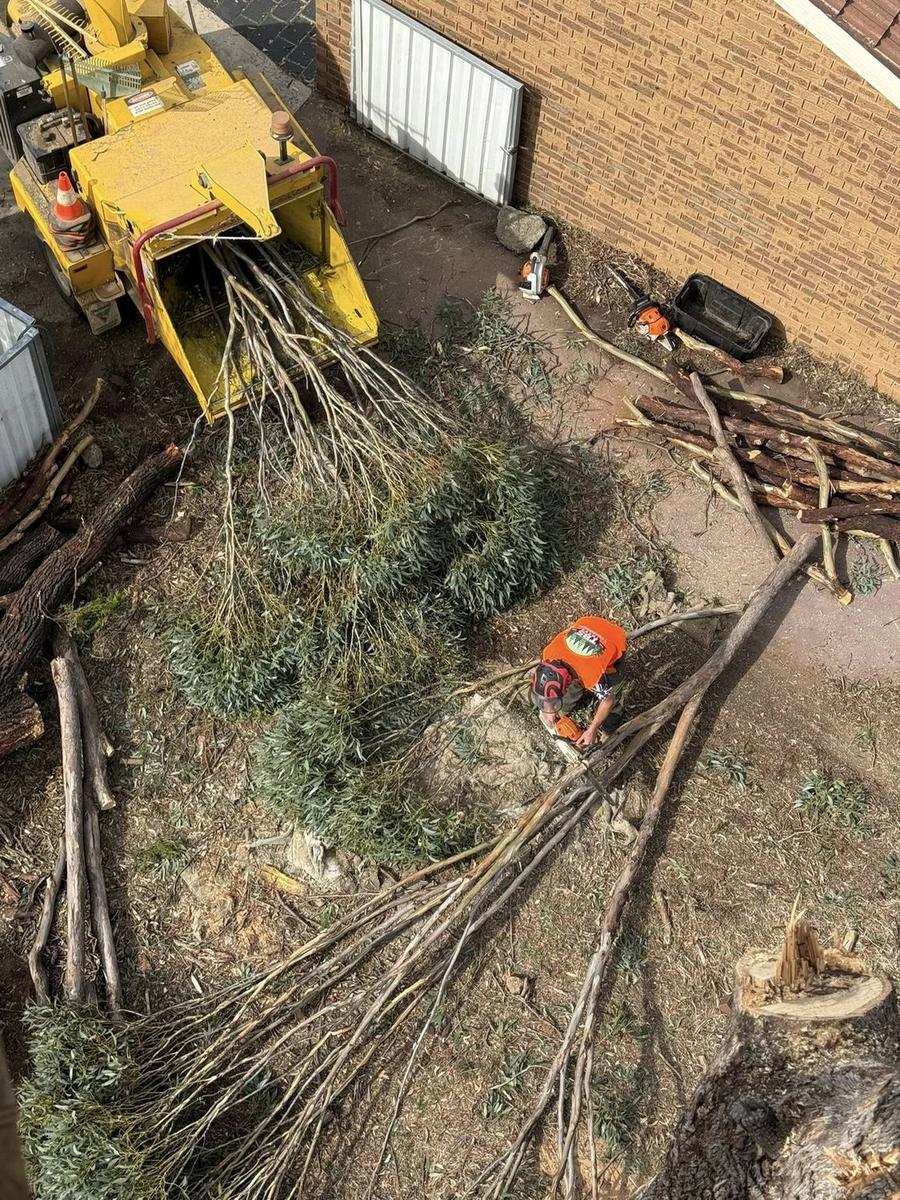Branches being fed into a wood chipper